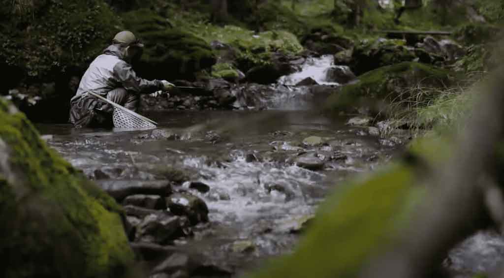 Initiation pêche à la mouche sur une rivière pyrénéenne