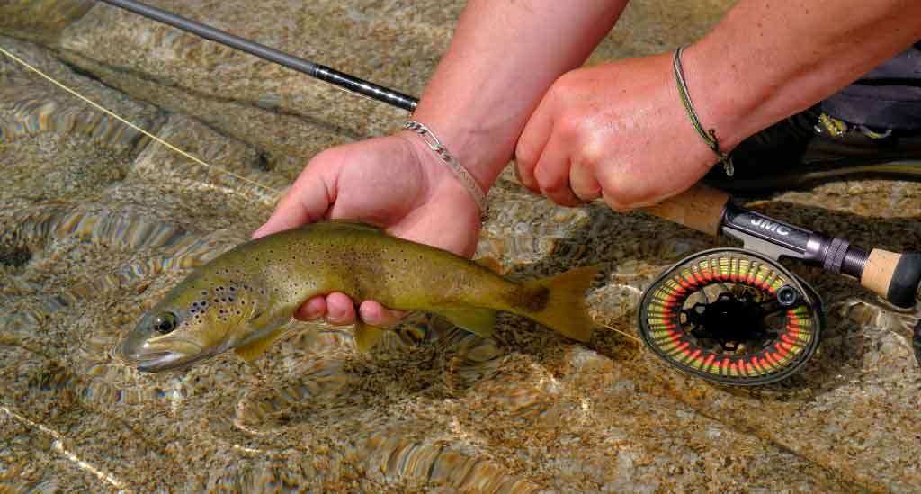 Pêcheur utilisant un moulinet à truite en action dans les rivières des Pyrénées