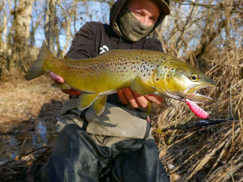 truite-leurres-pyrenees technique de pêche à la truite aux leurres, couleurs, tailles, suspending, coulant, etc.